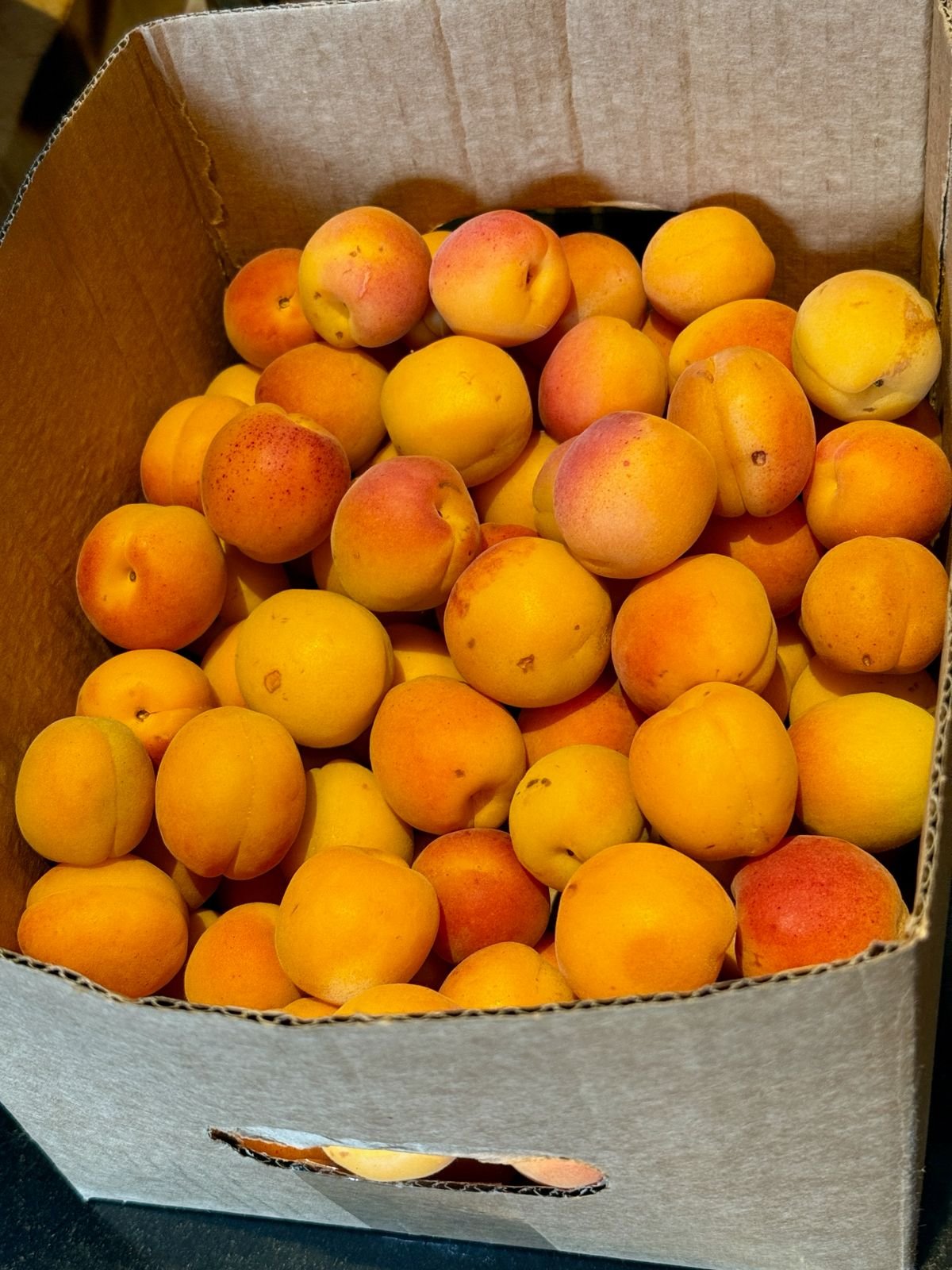 Peaches